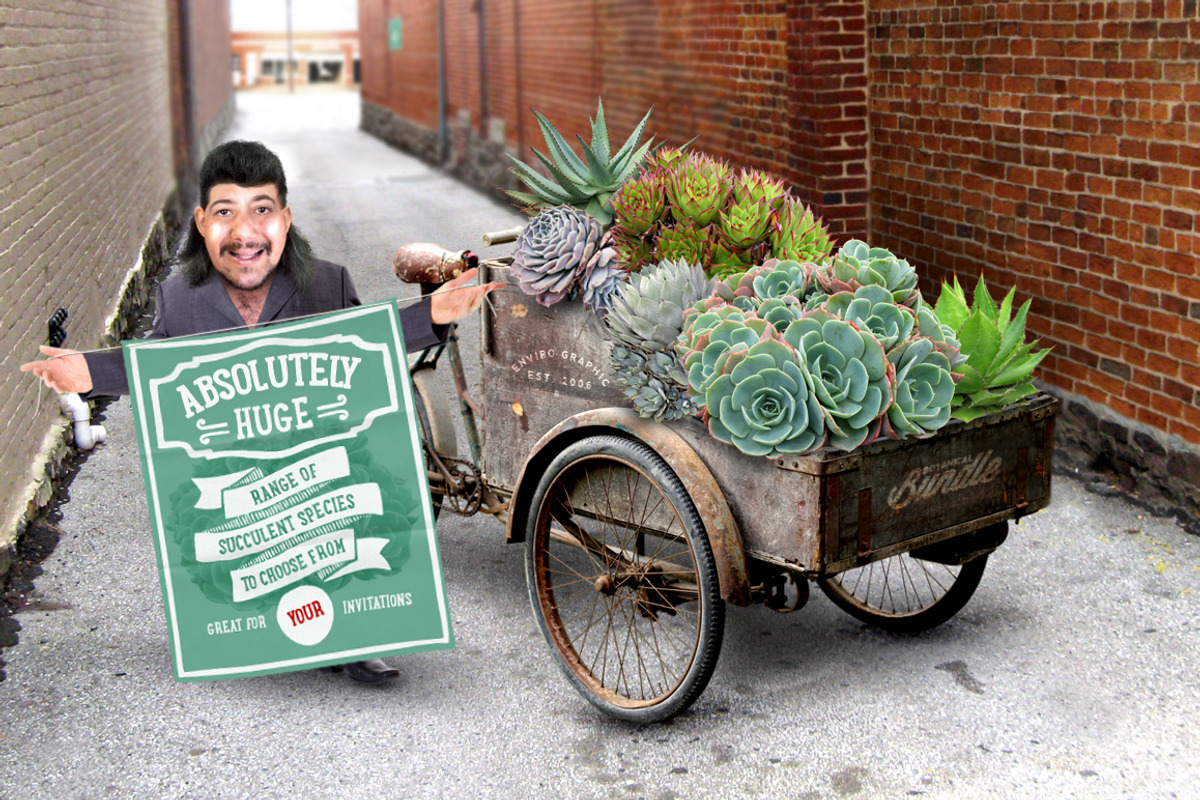 Botanical Bundle - 250 Plants *SALE*, an Object Graphic by envirographic (Photo 4 of 6)