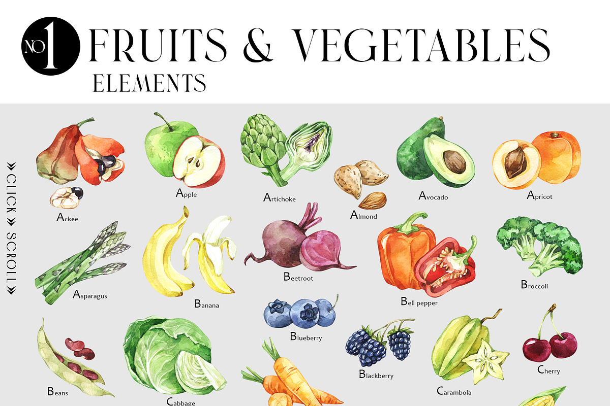 Fruits and Vegetables Encyclopedia, a Food Illustration by Anastezia Luneva (Photo 4 of 9)
