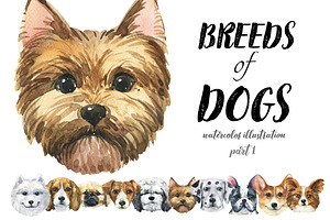 Breeds of dogs - watercolor. Part 1