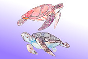 Sea patterns & Isolated objects, an Animal Illustration by Elizaveta (Thumbnail 5 of 5)
