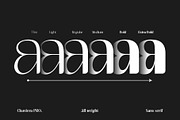 Chaviera Pro Family, a Sans Serif Font by INKSUN™ (Thumbnail 3 of 12)