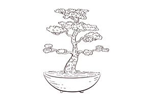 Bonsai Tree Drawing Black and White, an Illustration by patrimonio