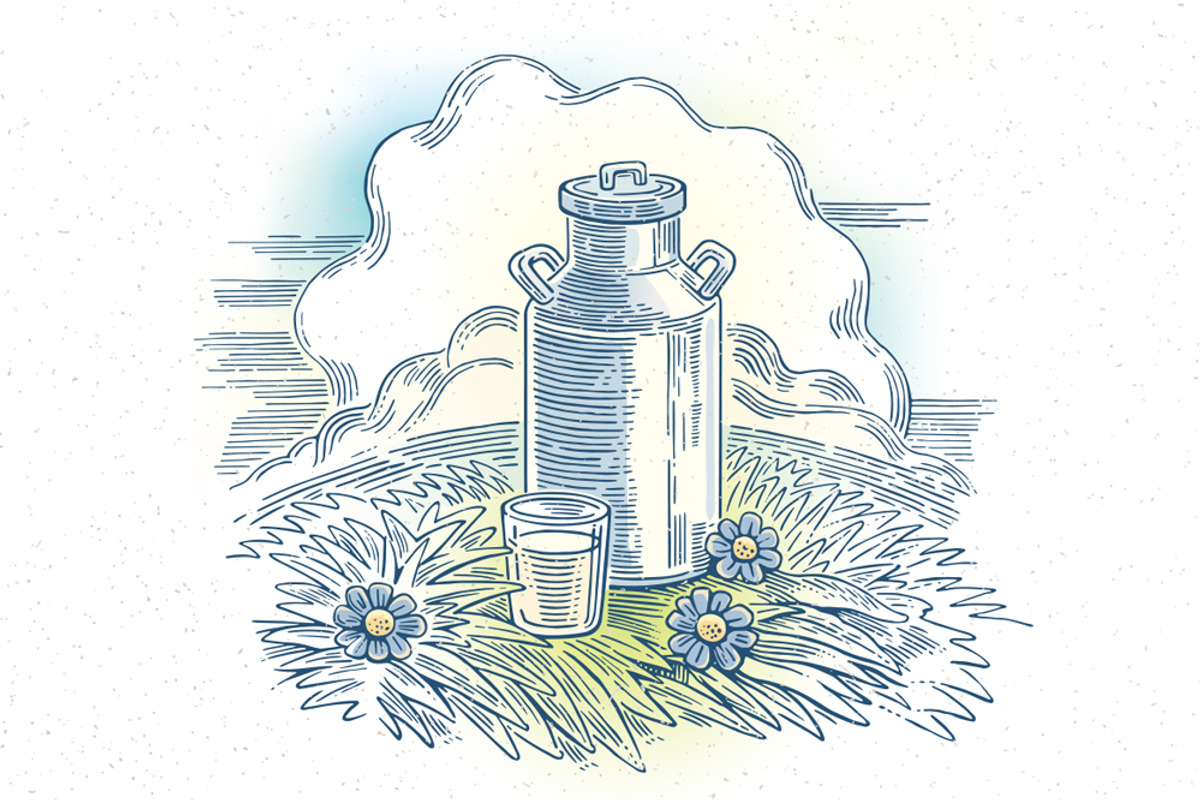 Milk Can and Glass of Milk on Meadow, a Food Illustration by Countryside life (Photo 3 of 5)