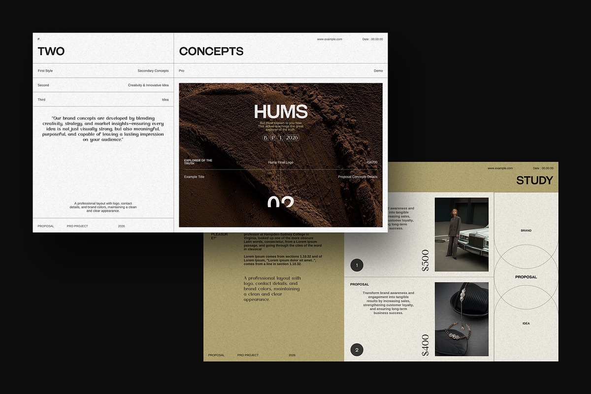 HUMS | Proposal, a Presentation Template by SparkPro (Photo 6 of 13)