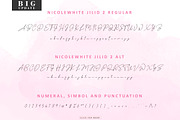 NicoleWhite Signature Collection, a Script Font by AQR Studio (Thumbnail 11 of 17)
