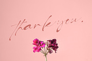 Caithlyn, a Script Font by Muntab_Art (Thumbnail 9 of 9)