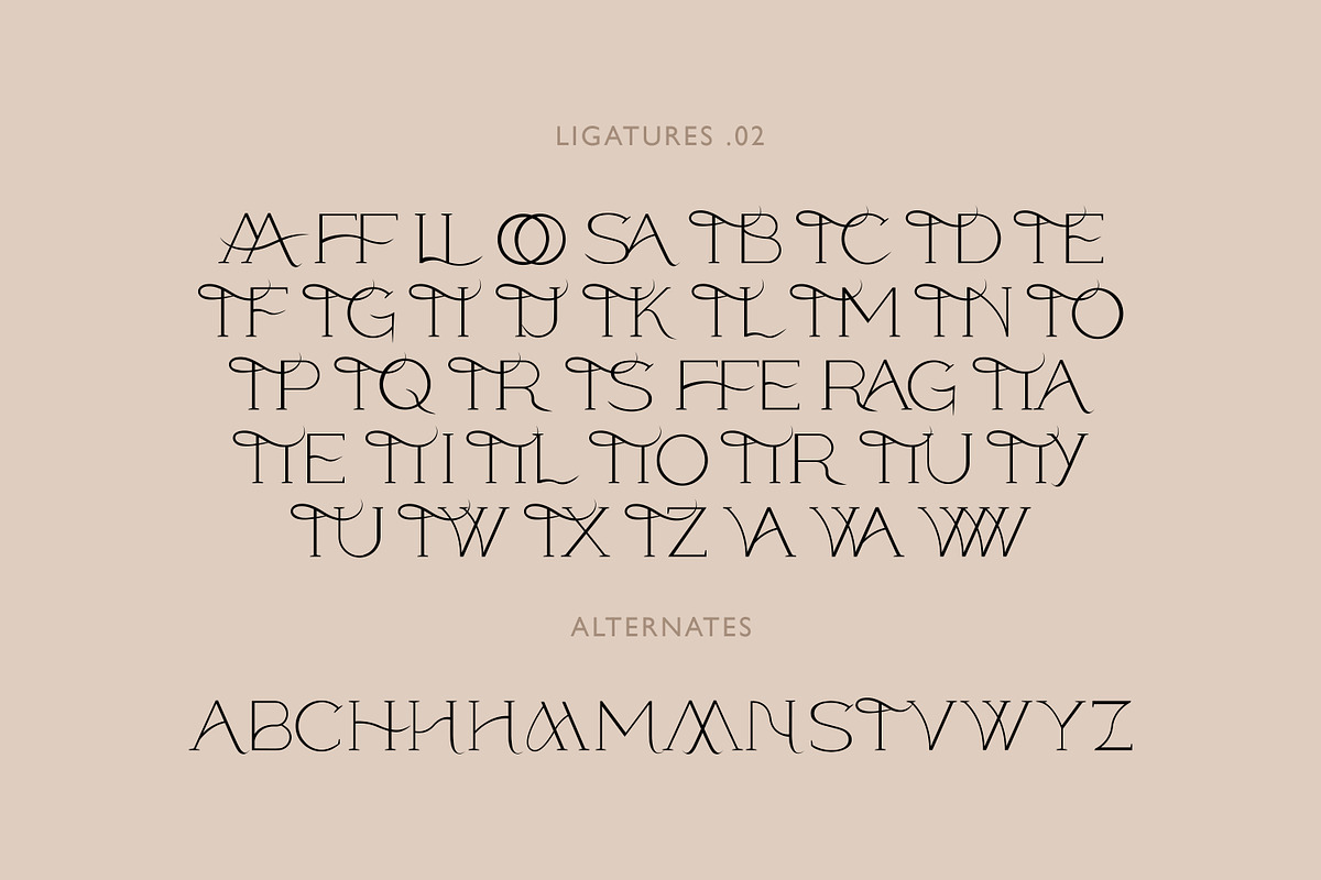 Modern ligature-rich font, a Serif Font by elvinova (Photo 17 of 18)