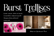 Altamira Sentiment - Elegant Serif, a Serif Font by 177Studio (Thumbnail 4 of 8)