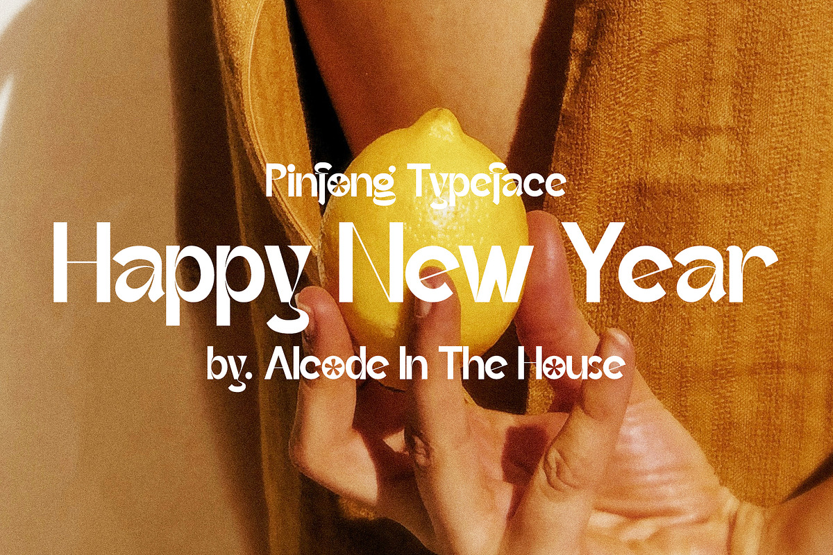 Pinfong Typeface, a Serif Font by Alcode (Photo 20 of 20)