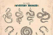 Mystery Snakes, an Animal Illustration by Ink Stories (Thumbnail 5 of 31)