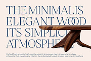Stokeda Thin Modern Serif Font, a Serif Font by timelesstype.co (Thumbnail 7 of 15)