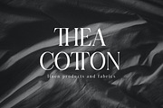 Casanova Elegant Serif Display, a Serif Font by Typetemp Studio (Thumbnail 21 of 30)