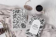 Winter Plants Set. Christmas Designs, a Seasonal Illustration by Yevheniia (Thumbnail 9 of 13)