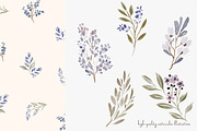 watercolor floral clipart set, a Decorative Illustration by Patishop Art (Thumbnail 4 of 10)