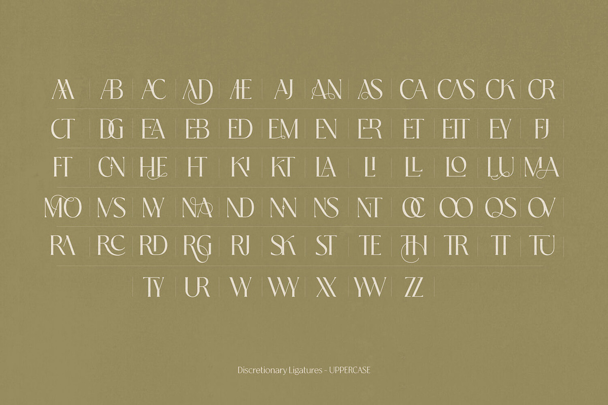 Tremella - Modern Branding Font, a Serif Font by creativemedialab (Photo 8 of 10)
