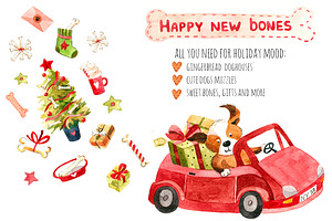 Happy new bones!