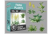 81 Farm Plants Photo Overlays, a Nature Photo by KenScape (Thumbnail 1 of 3)