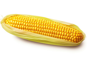 vegetable corn clip art ai generated, a Food & Drink Photo by pikepicture