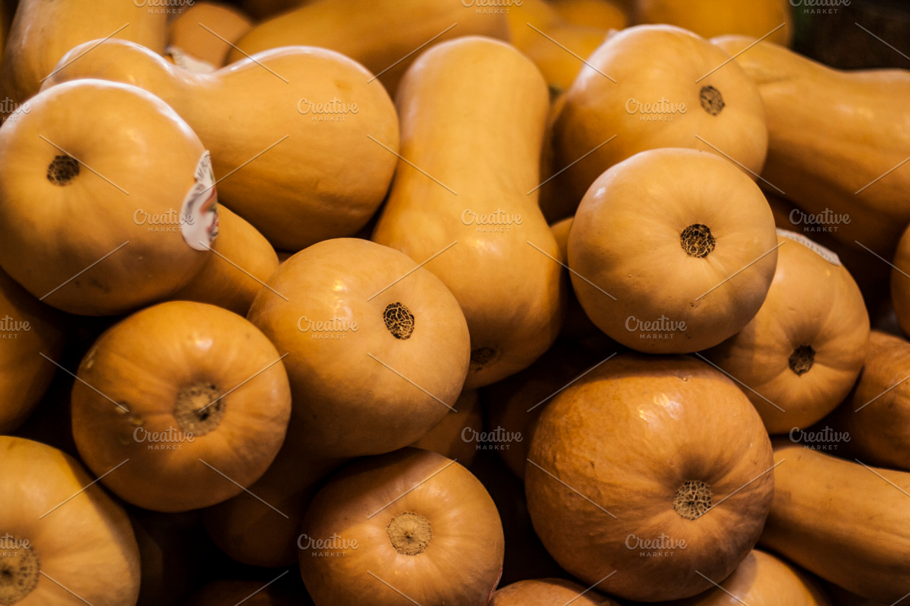 Butternut squash containing butternut squash, gourd, and food, a Food & Drink Photo by Nefrith