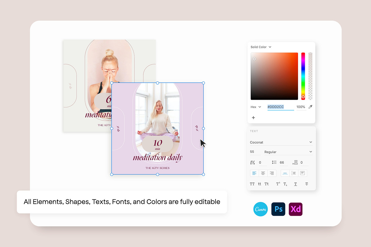 Wellness Social Media Kit CANVA PS, a Social Media Template by Sparrow & Snow (Photo 16 of 26)