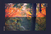 Red Aurora Artistic Lightroom Preset, an Action Add-On by Mark Borbely (Thumbnail 8 of 14)