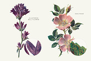 Vintage Flowers Vol.01 - Extra Large, an Illustration by Greta Ivy (Thumbnail 11 of 18)
