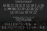 Winter Snowing, a Sans Serif Font by FreshTypeINK (Thumbnail 8 of 8)