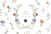 Wild Flower Field, a Decorative Illustration by heyiamalice (Thumbnail 1 of 10)