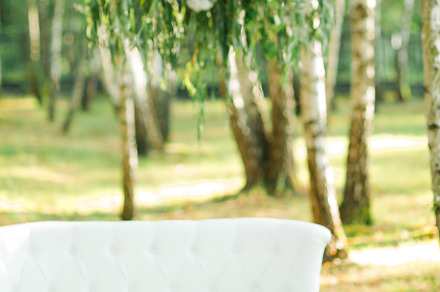 Decorations, floristry in the forest