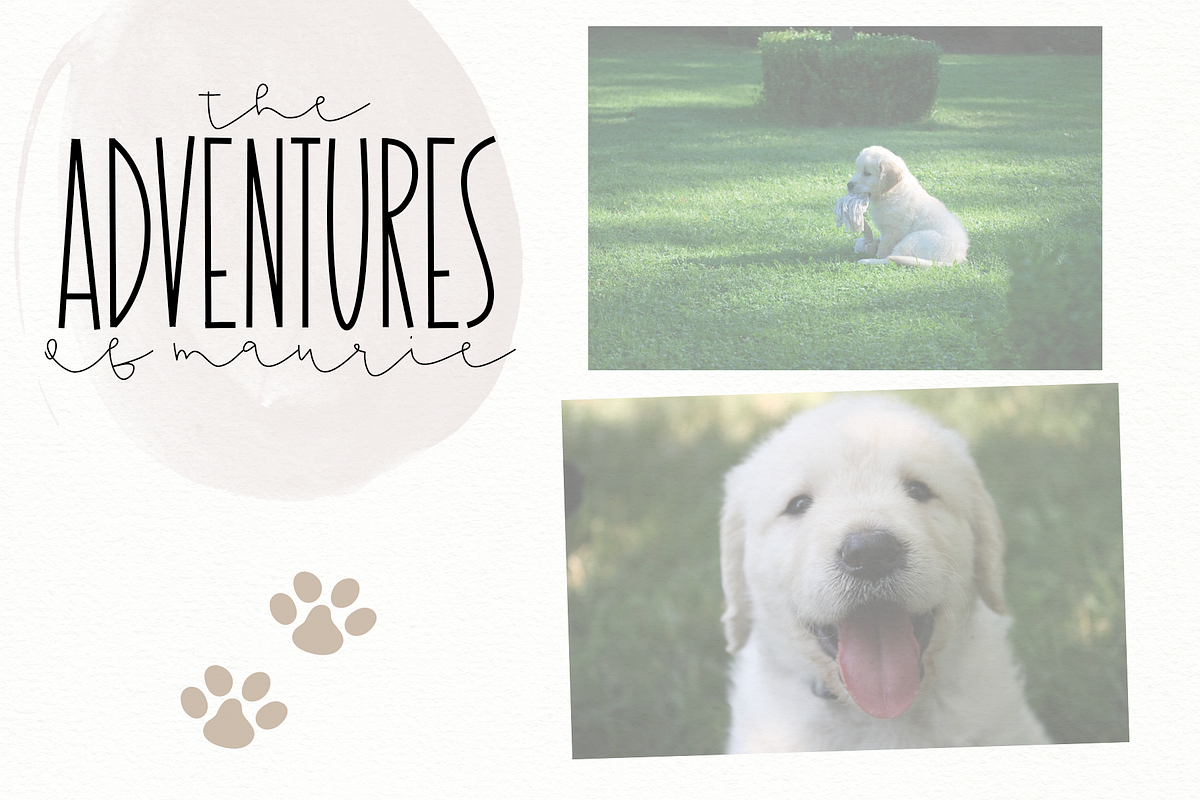 Dandy Dandelions - A Script Font Duo, a Script Font by KA Designs (Photo 9 of 12)