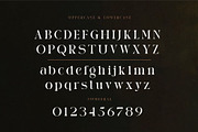 AURA LUXESS, a Serif Font by ToniStudio (Thumbnail 8 of 10)