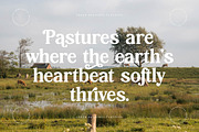 Hasbor Modern Alternate Serif Font, a Serif Font by AmorfaType (Thumbnail 4 of 11)
