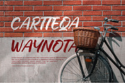 Lecuretta, a Script Font by Integritype Studio (Thumbnail 2 of 15)