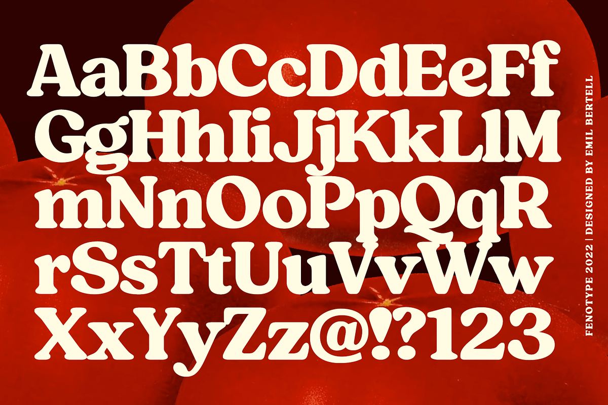 Tomato Ketchup Retro Serif Font, a Serif Font by Fenotype (Photo 6 of 14)