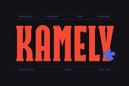 Kamely Modern Futuristic Slab Serif, a Slab Serif Font by Perfectype