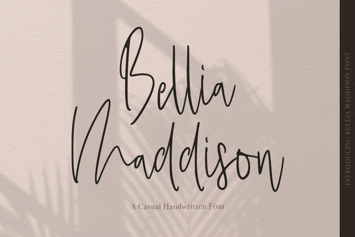 Bellia Maddison, a Script Font by Vava Aryanto (Photo 1 of 11)