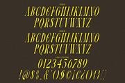 VOLTUNE Elegant Condensed Serif, a Serif Font by Alfinart (Thumbnail 10 of 10)