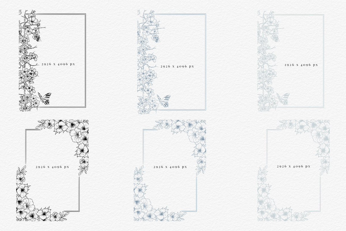 Wildflower Floral Decorative Borders, a Decorative Illustration by AW Studios (Photo 5 of 11)