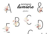 Lumiere - Rose & Cream Florals, an Illustration by Isabelle Salem (Thumbnail 13 of 15)