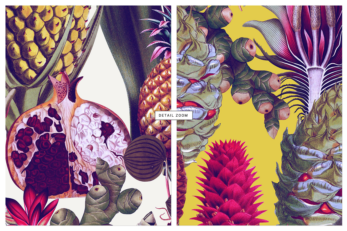 Gousse, Luxury Patterns & Motif!, a Wallpaper Graphic by Pink Linen (Photo 5 of 10)