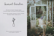 Quaint Garden Floral Font +EXTRAS, a Script Font by AnMark (Thumbnail 7 of 12)