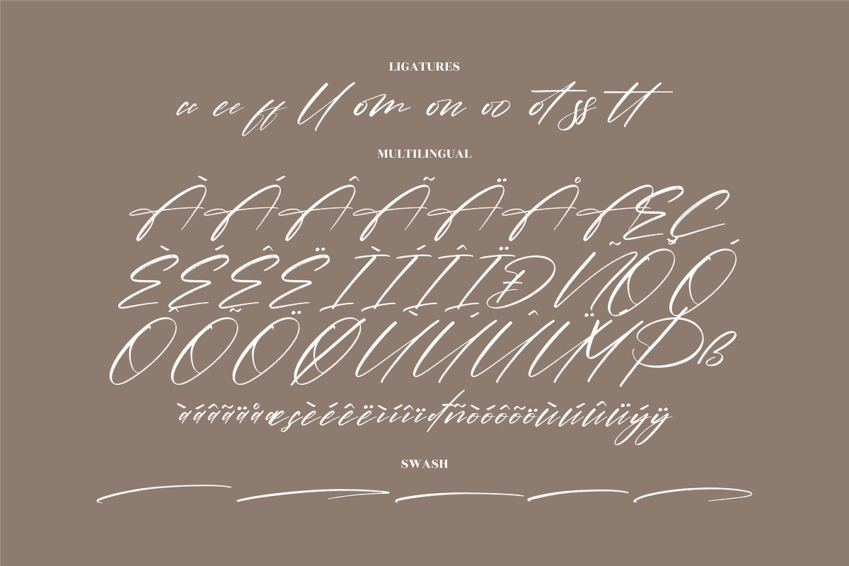 Pantherdam Signature Signature Brush, a Script Font by Letterena Studios Script (Photo 14 of 15)