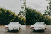 Fuji FP 100C IV, a Preset Add-On by colorituals (Thumbnail 7 of 8)
