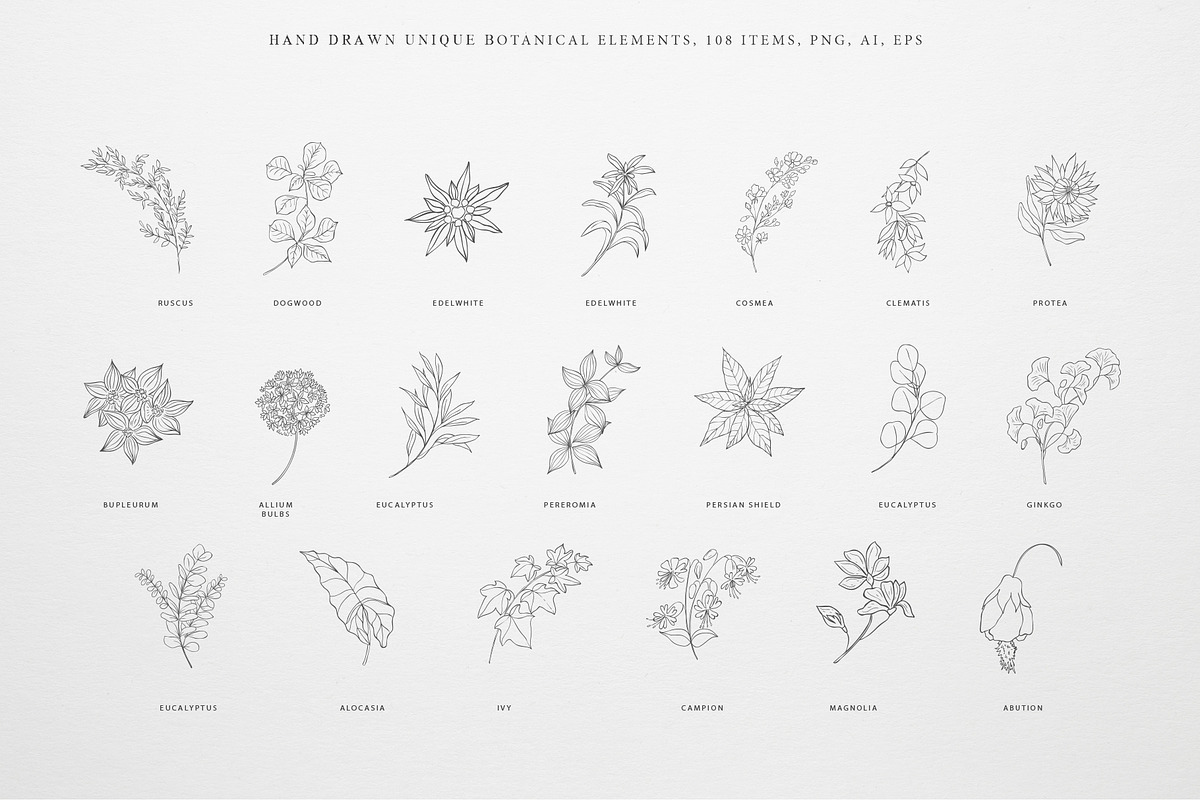 Botany & Moon. Hand Drawn Line Art., a Decorative Illustration by Designwork (Photo 6 of 20)