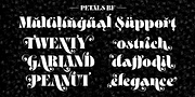 Petals BF, a Serif Font by Bomparte’s Fonts (Thumbnail 8 of 11)