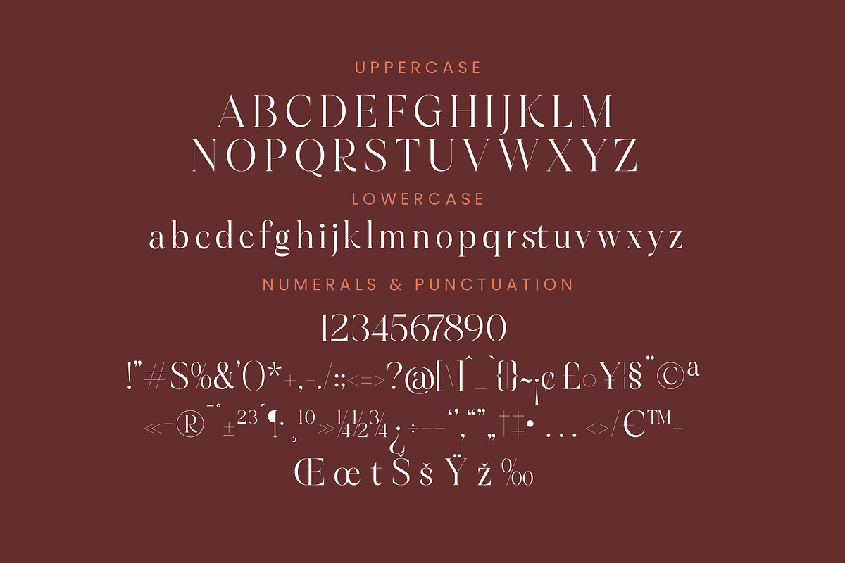 Hamster Modern Serif Font, a Serif Font by Letterena Studios (Photo 13 of 15)
