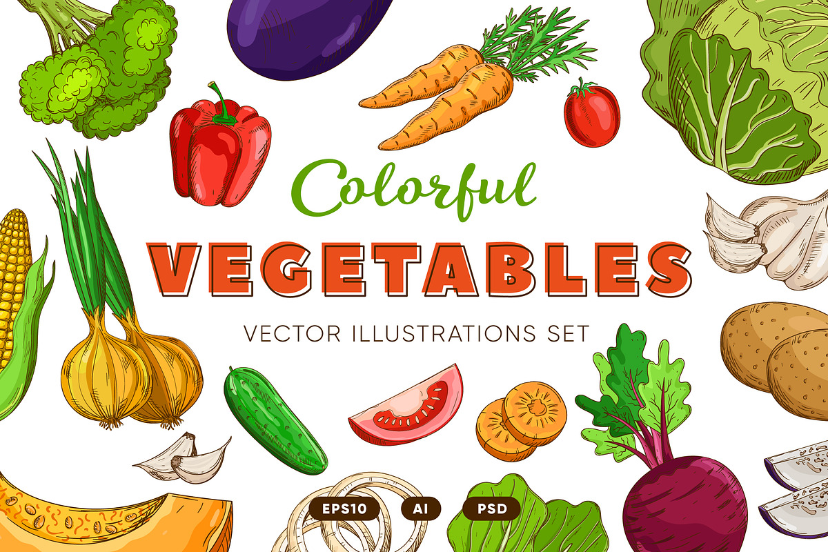 Vegetables in the Vintage Style, a Healthcare Illustration by Alfazet Chronicles (Photo 1 of 15)