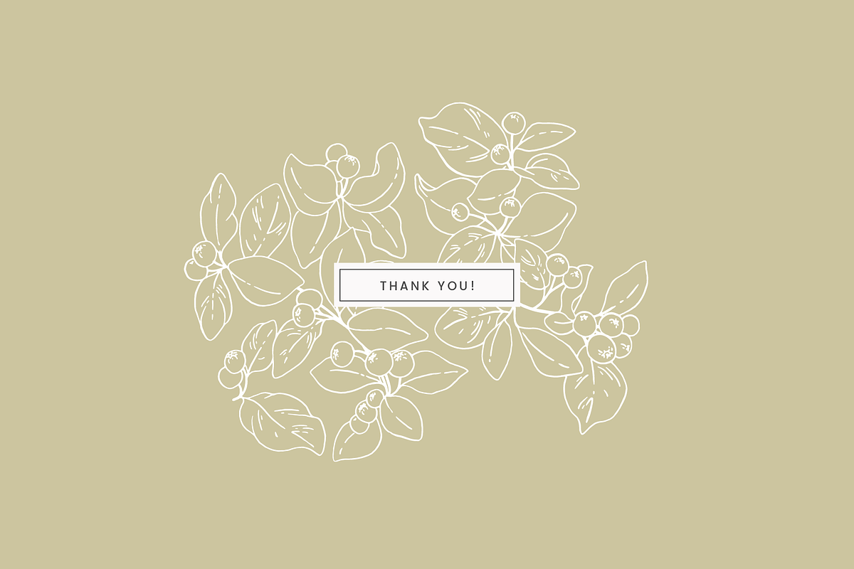 Botanical Sketch Vector Illustration, a Decorative Illustration by Emma Webb Studio (Photo 7 of 7)