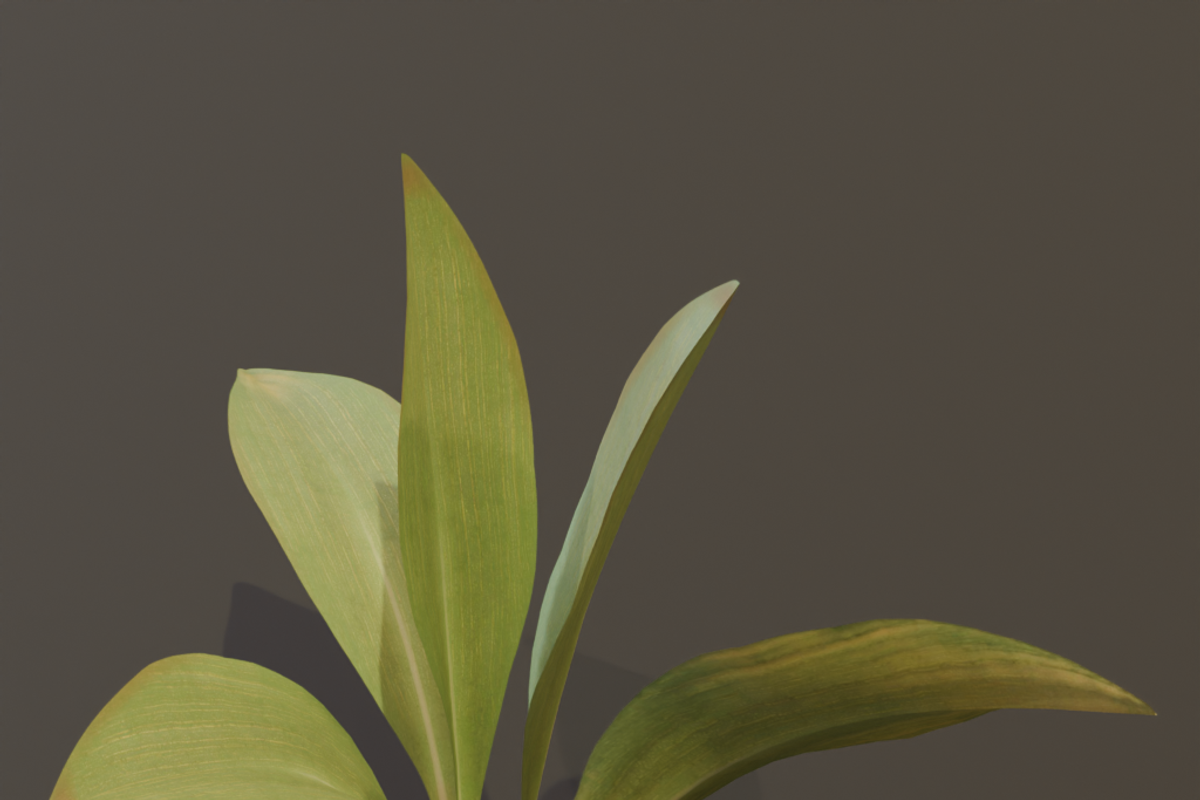 The Haran Bush, a Plants & Tree 3D Model by FuturePastCreatives (Photo 3 of 13)