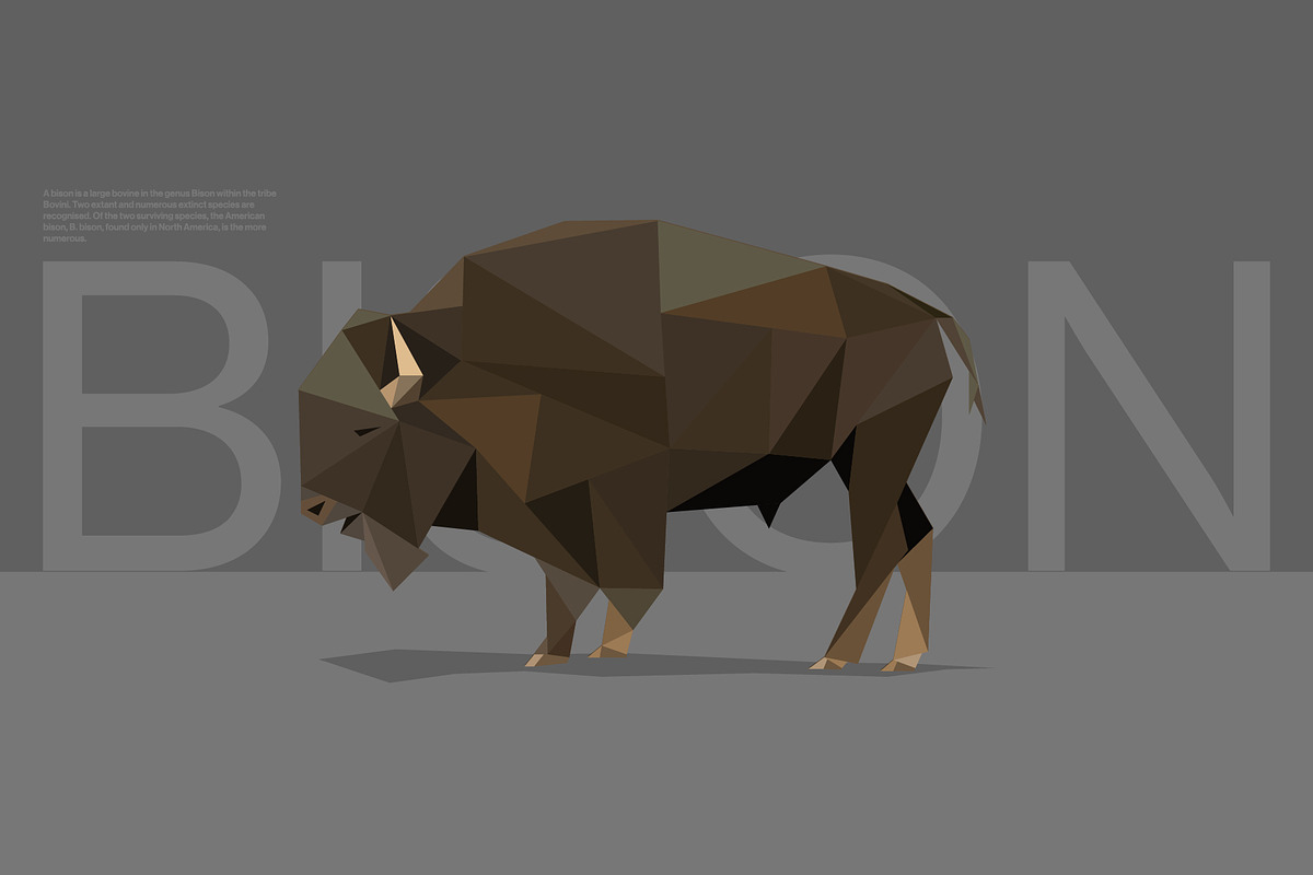 Farm Animals Pack in Low Poly Style, an Illustration by Volkan Aydemir (Photo 3 of 12)